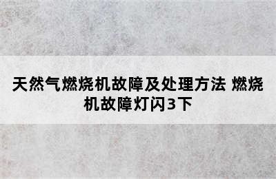 天然气燃烧机故障及处理方法 燃烧机故障灯闪3下